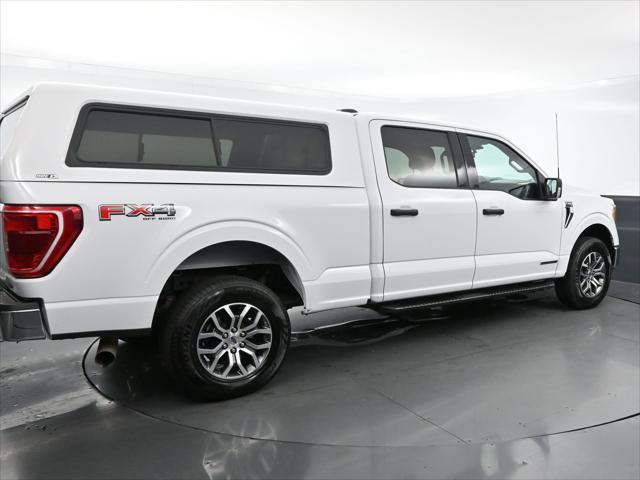 used 2021 Ford F-150 car