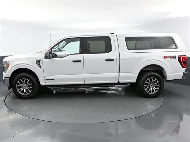 used 2021 Ford F-150 car