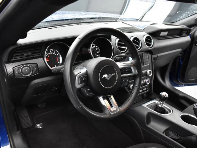 used 2022 Ford Mustang car