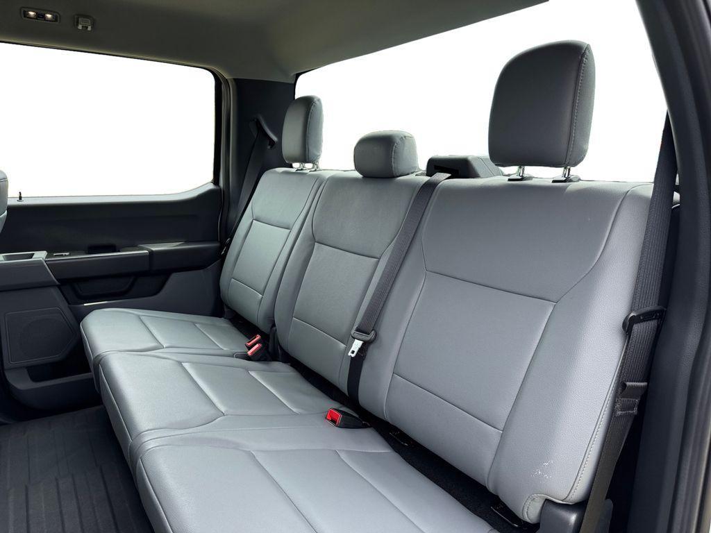 new 2025 Ford F-150 car, priced at $51,455