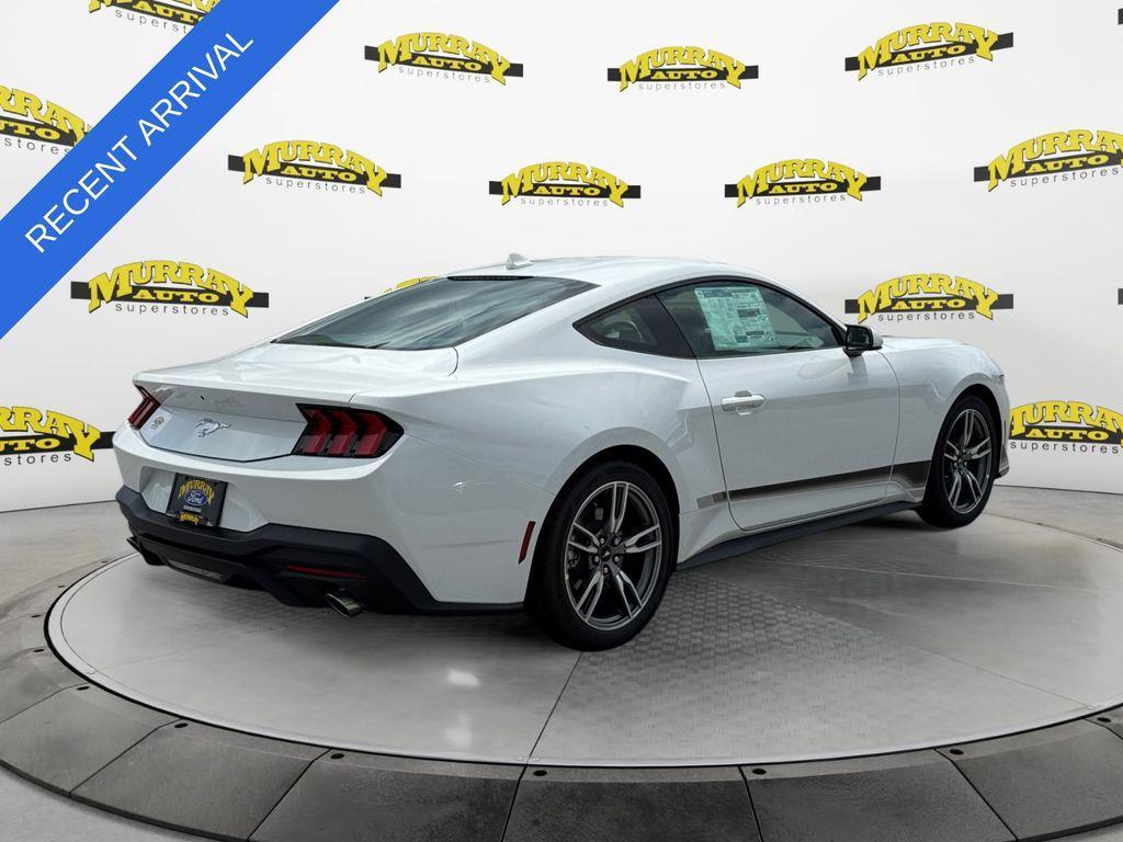 used 2025 Ford Mustang car