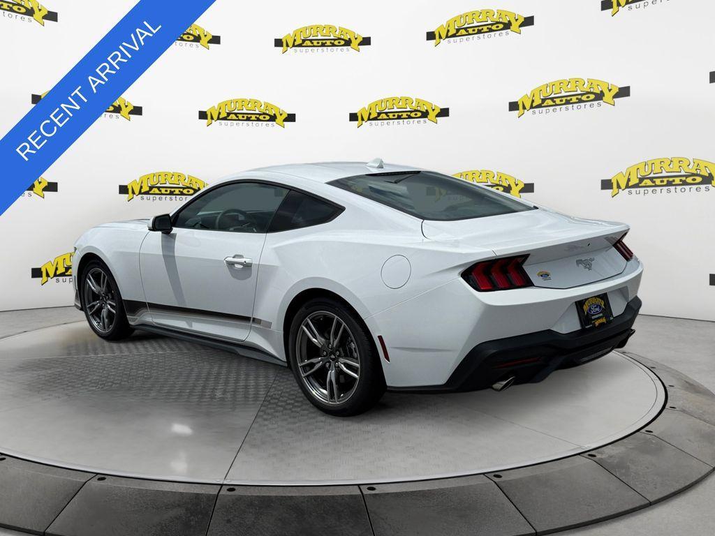 used 2025 Ford Mustang car