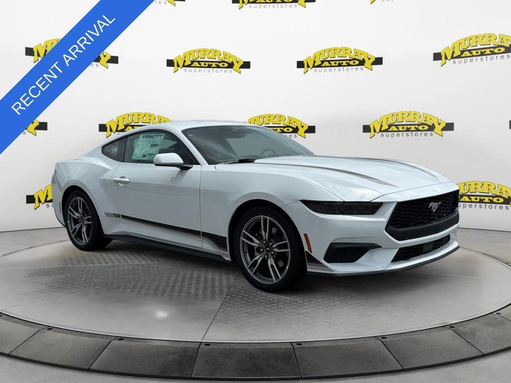 used 2025 Ford Mustang car