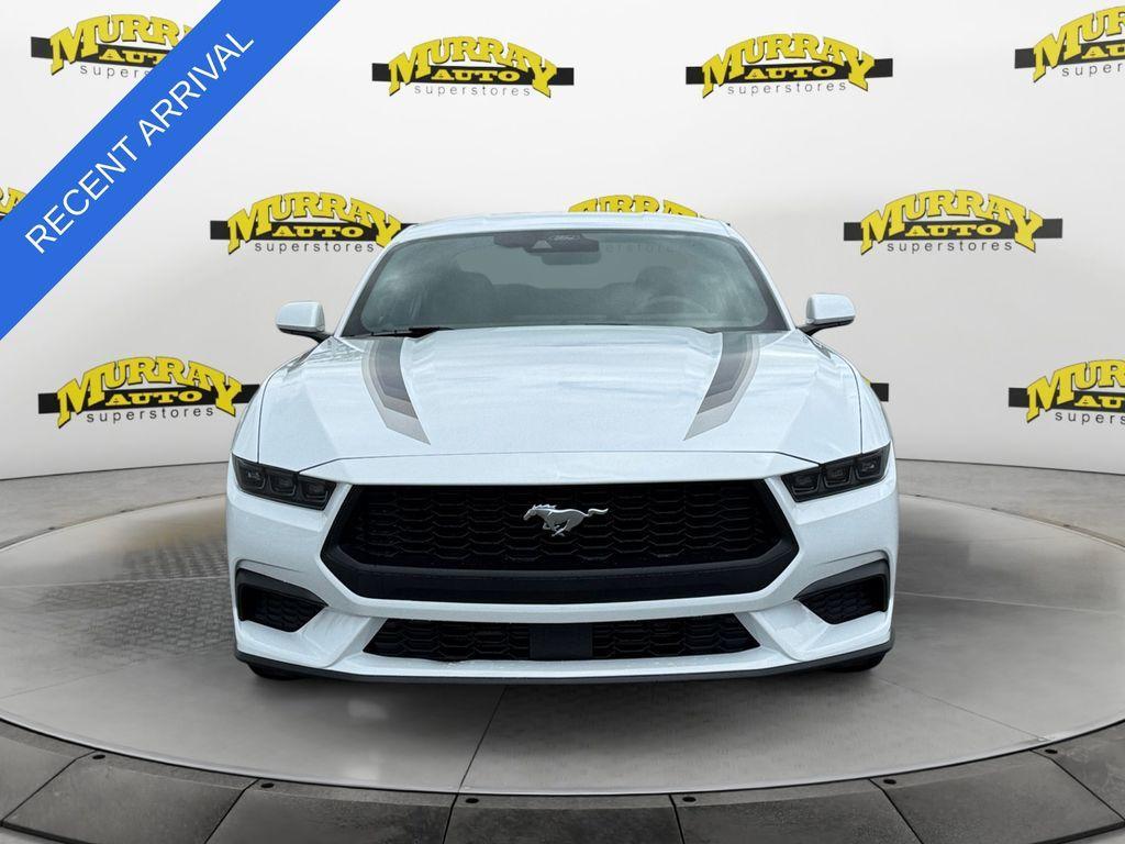 used 2025 Ford Mustang car