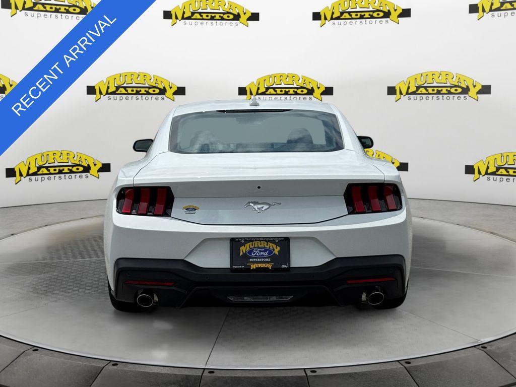 used 2025 Ford Mustang car