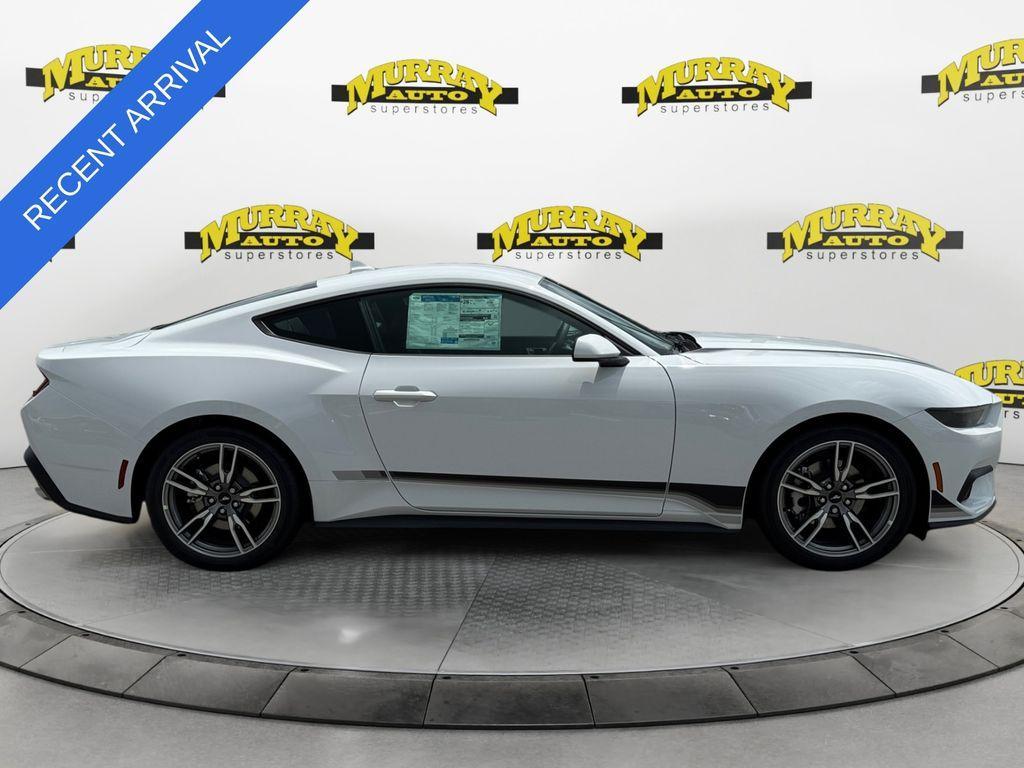 used 2025 Ford Mustang car