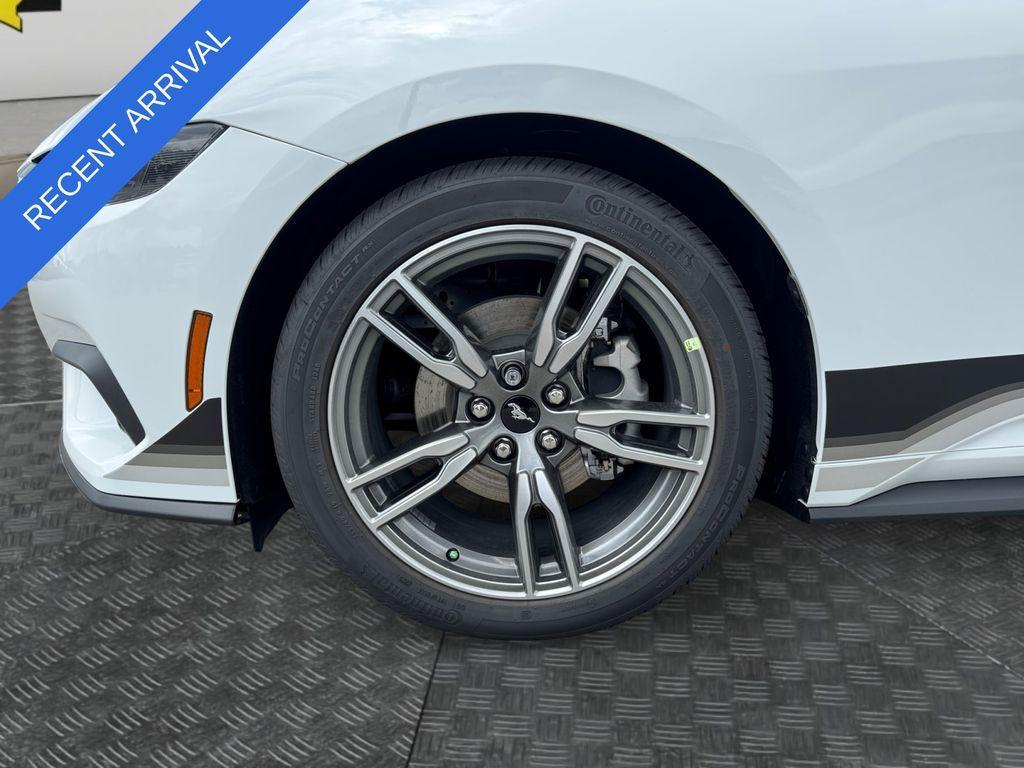 used 2025 Ford Mustang car