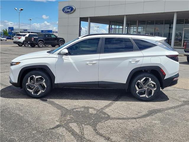 used 2023 Hyundai Tucson car, priced at $24,599