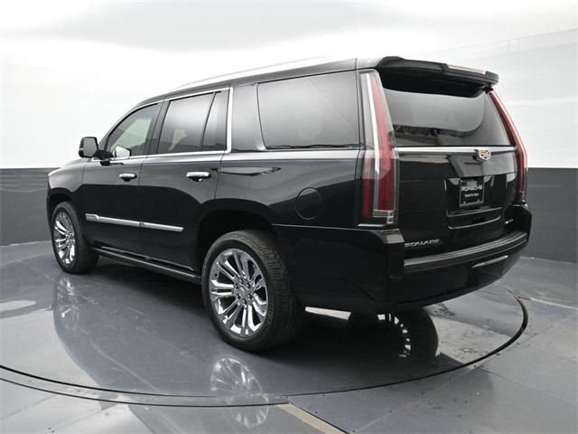 used 2019 Cadillac Escalade car, priced at $39,500