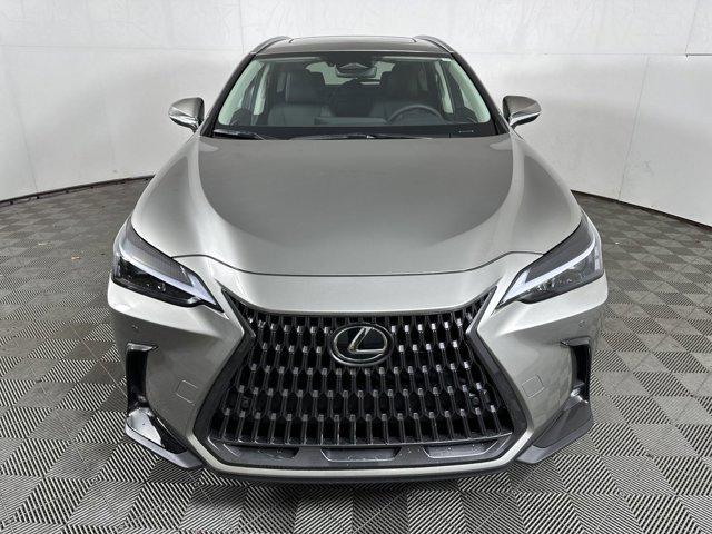 used 2025 Lexus NX 350 car