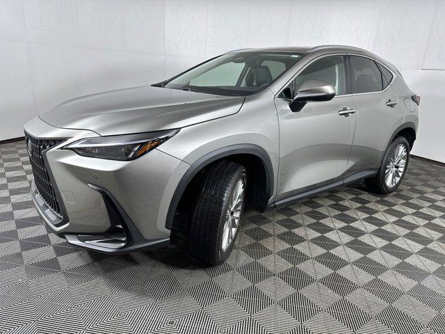 used 2025 Lexus NX 350 car