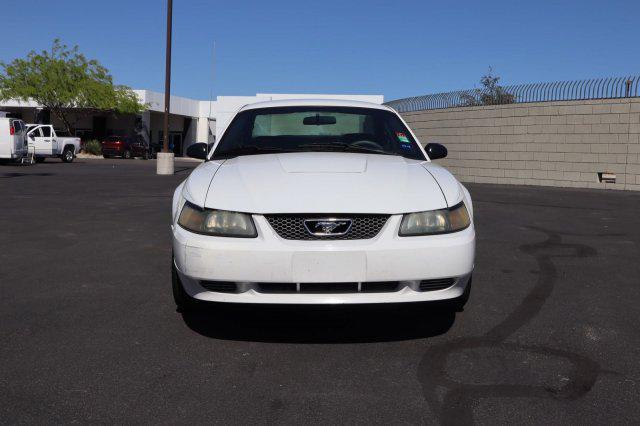used 2003 Ford Mustang car