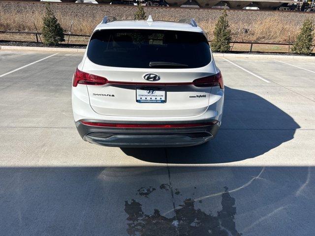 used 2022 Hyundai Santa Fe HEV car, priced at $25,922