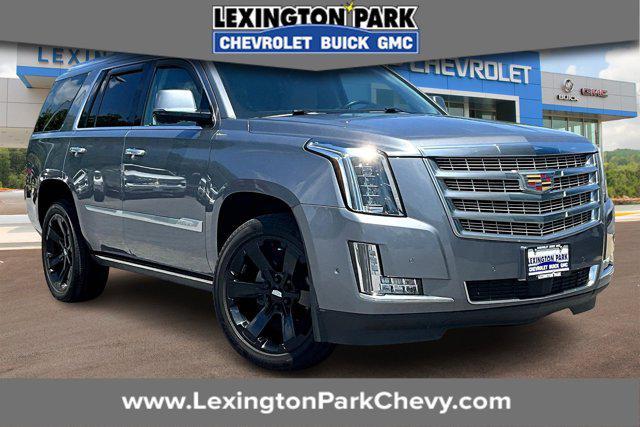 used 2019 Cadillac Escalade car, priced at $32,500