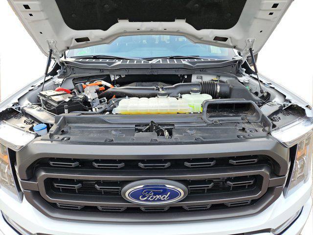 used 2023 Ford F-150 car, priced at $43,000