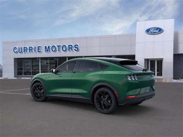 new 2024 Ford Mustang Mach-E car