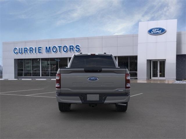 new 2023 Ford F-150 car, priced at $48,528