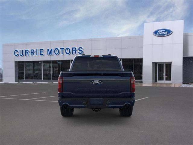 new 2024 Ford F-150 car, priced at $60,480