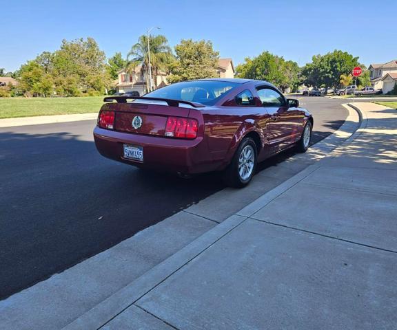 used 2006 Ford Mustang car, priced at $7,999