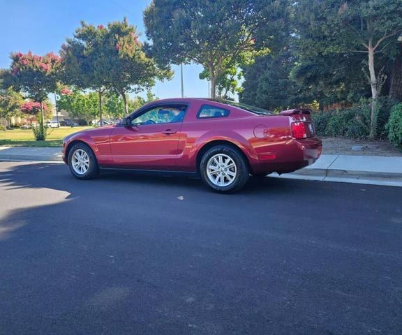 used 2006 Ford Mustang car, priced at $7,999