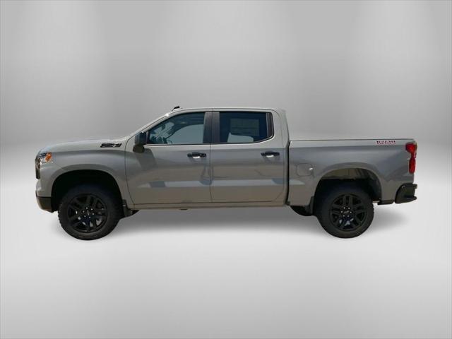 new 2024 Chevrolet Silverado 1500 car, priced at $61,264