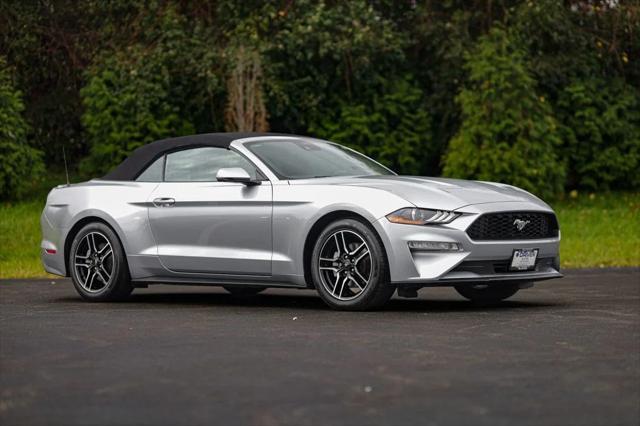 used 2021 Ford Mustang car, priced at $22,980