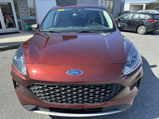 used 2021 Ford Escape car, priced at $19,898