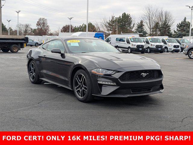 used 2022 Ford Mustang car, priced at $28,295