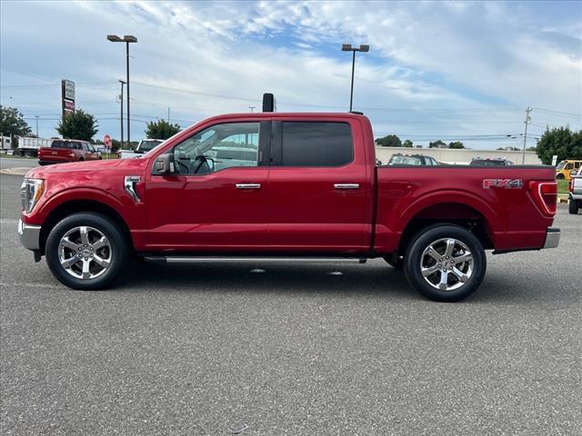 used 2021 Ford F-150 car