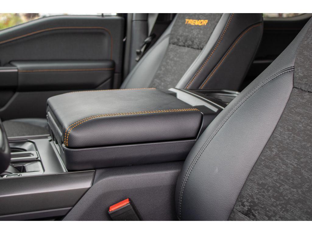 new 2025 Ford F-150 car, priced at $64,000