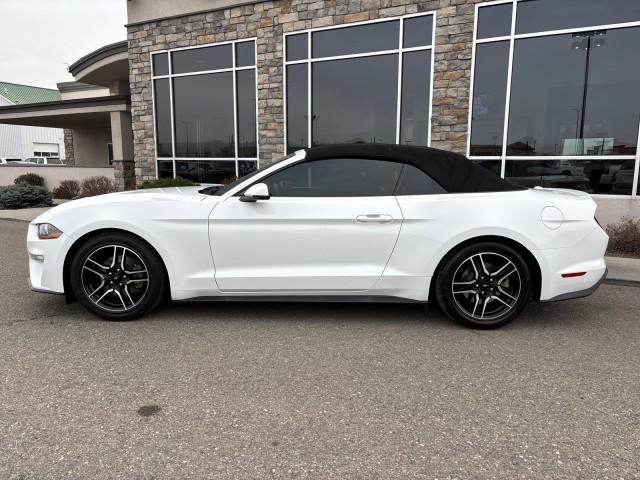 used 2018 Ford Mustang car, priced at $19,995