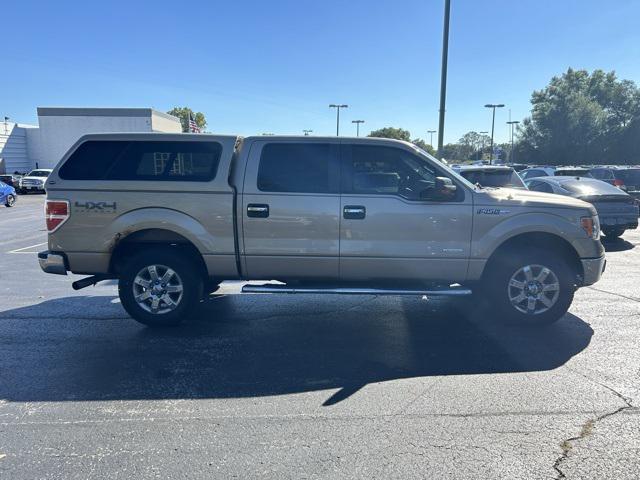 used 2013 Ford F-150 car