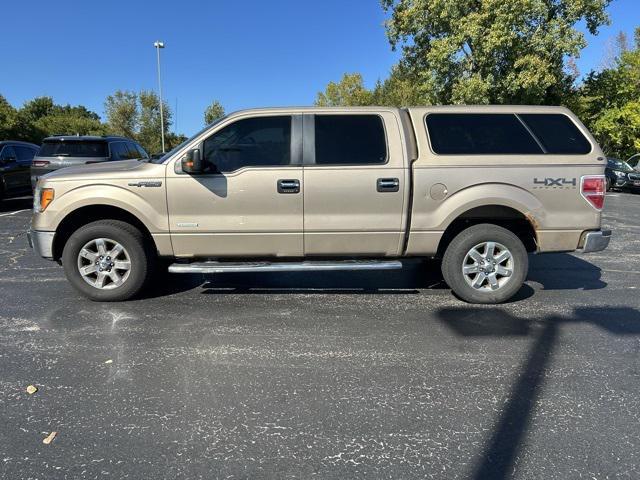 used 2013 Ford F-150 car