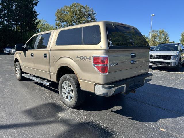 used 2013 Ford F-150 car