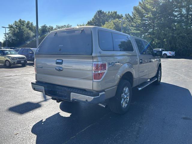 used 2013 Ford F-150 car