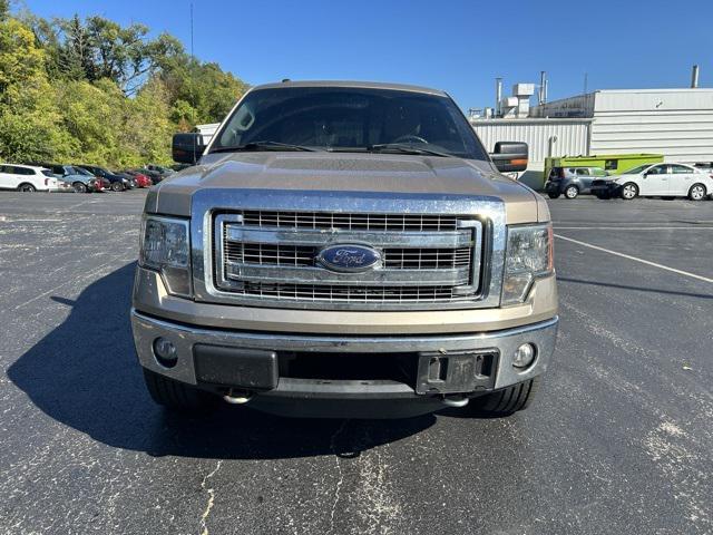 used 2013 Ford F-150 car