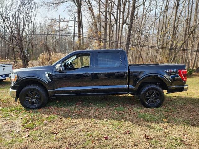 used 2021 Ford F-150 car, priced at $31,000