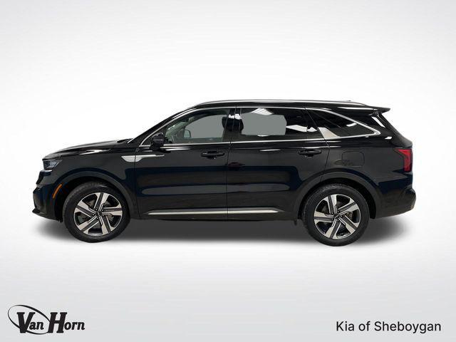 used 2023 Kia Sorento Hybrid car, priced at $27,889