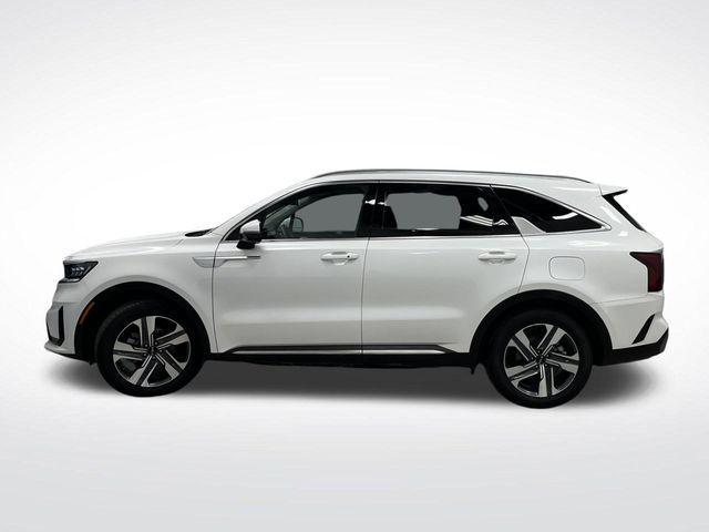 used 2024 Kia Sorento Hybrid car, priced at $35,310
