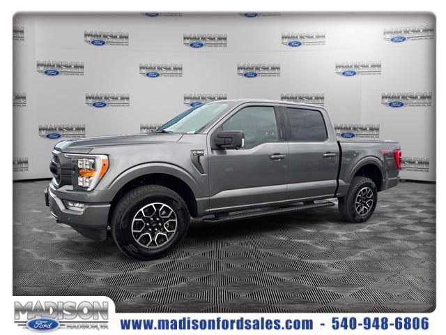 used 2023 Ford F-150 car, priced at $43,875