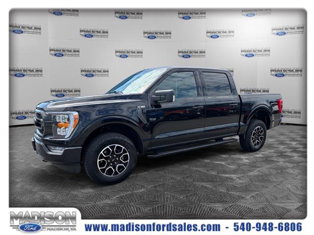 used 2023 Ford F-150 car, priced at $42,281
