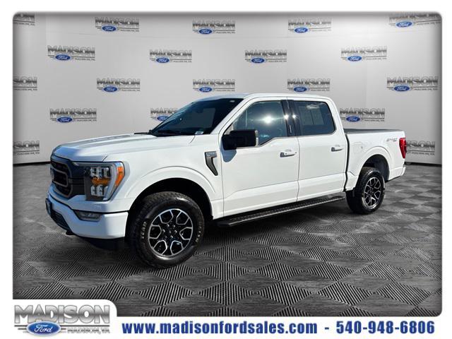 used 2023 Ford F-150 car, priced at $37,850