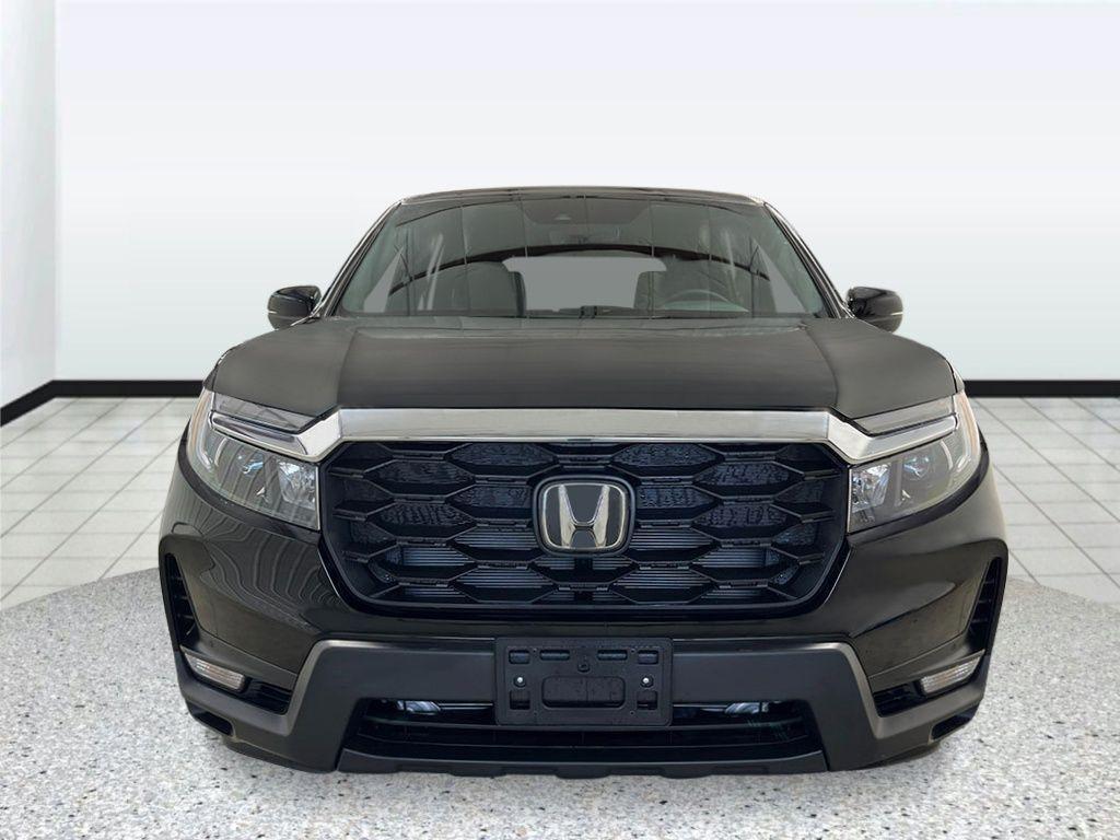 new 2025 Honda Passport car, priced at $43,850