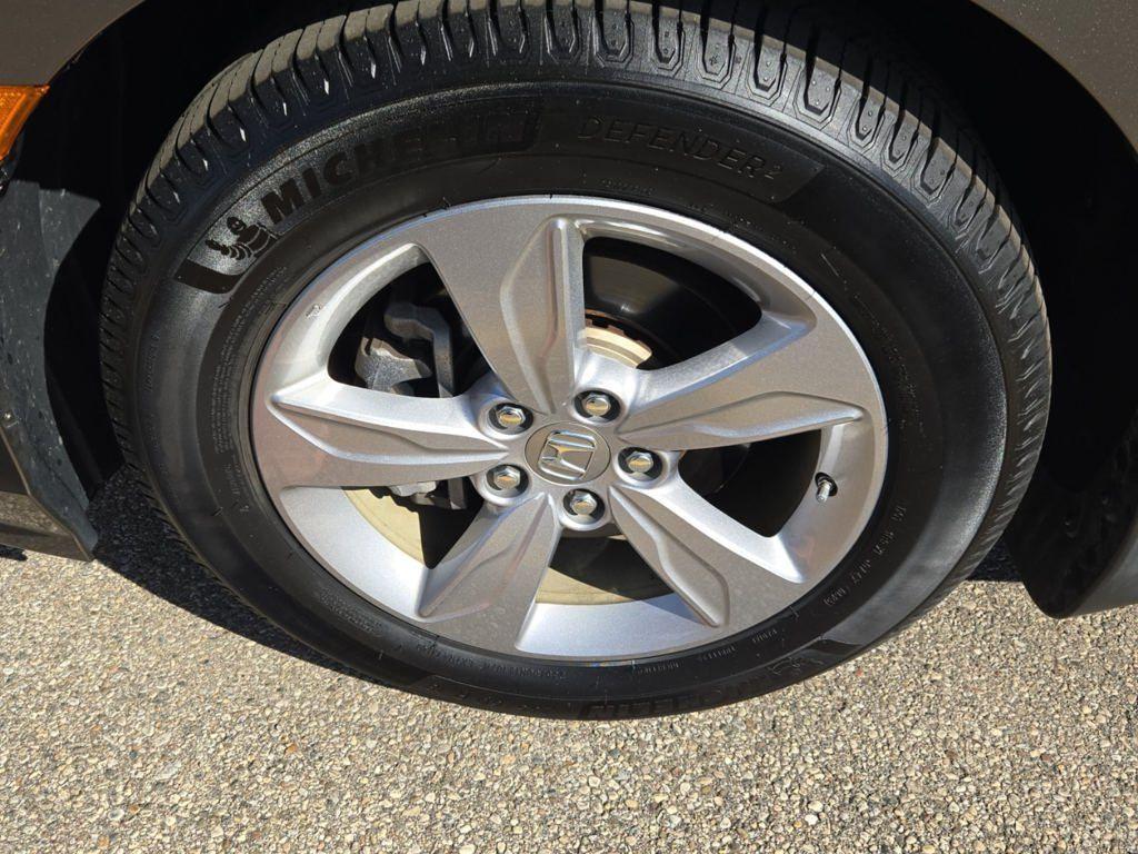used 2019 Honda Odyssey car