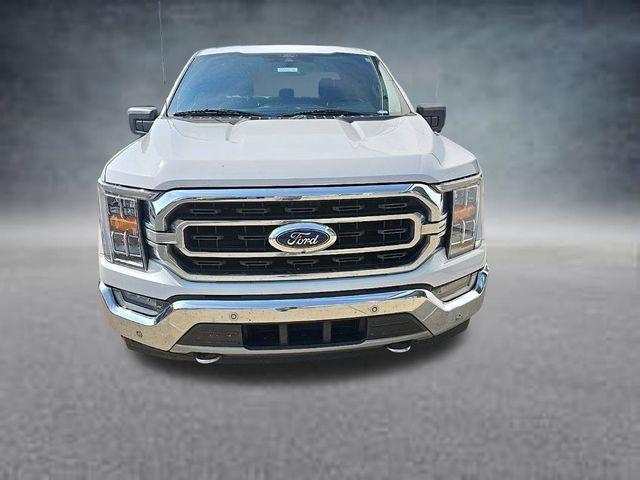 used 2021 Ford F-150 car, priced at $33,499