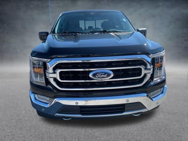 used 2021 Ford F-150 car, priced at $40,188