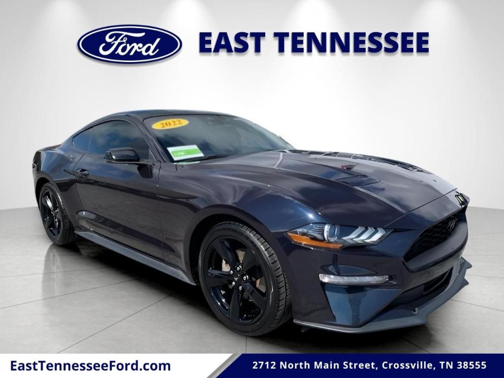 used 2022 Ford Mustang car, priced at $25,951