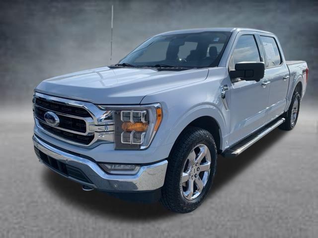 used 2021 Ford F-150 car