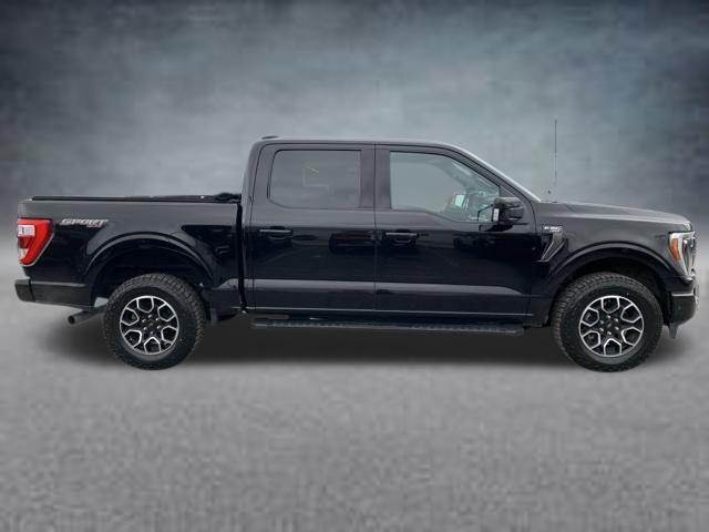 used 2021 Ford F-150 car, priced at $44,211