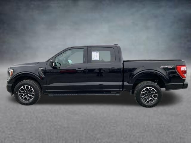 used 2021 Ford F-150 car, priced at $44,211